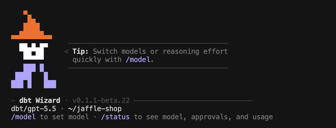 A dbt Wizard session running in the terminal
